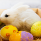 Image for article titled The yolk’s on you: How to cheat at egg pocking, the greatest Easter sport